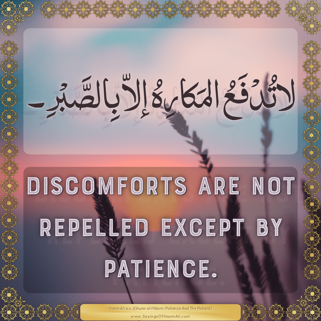 Discomforts are not repelled except by patience.